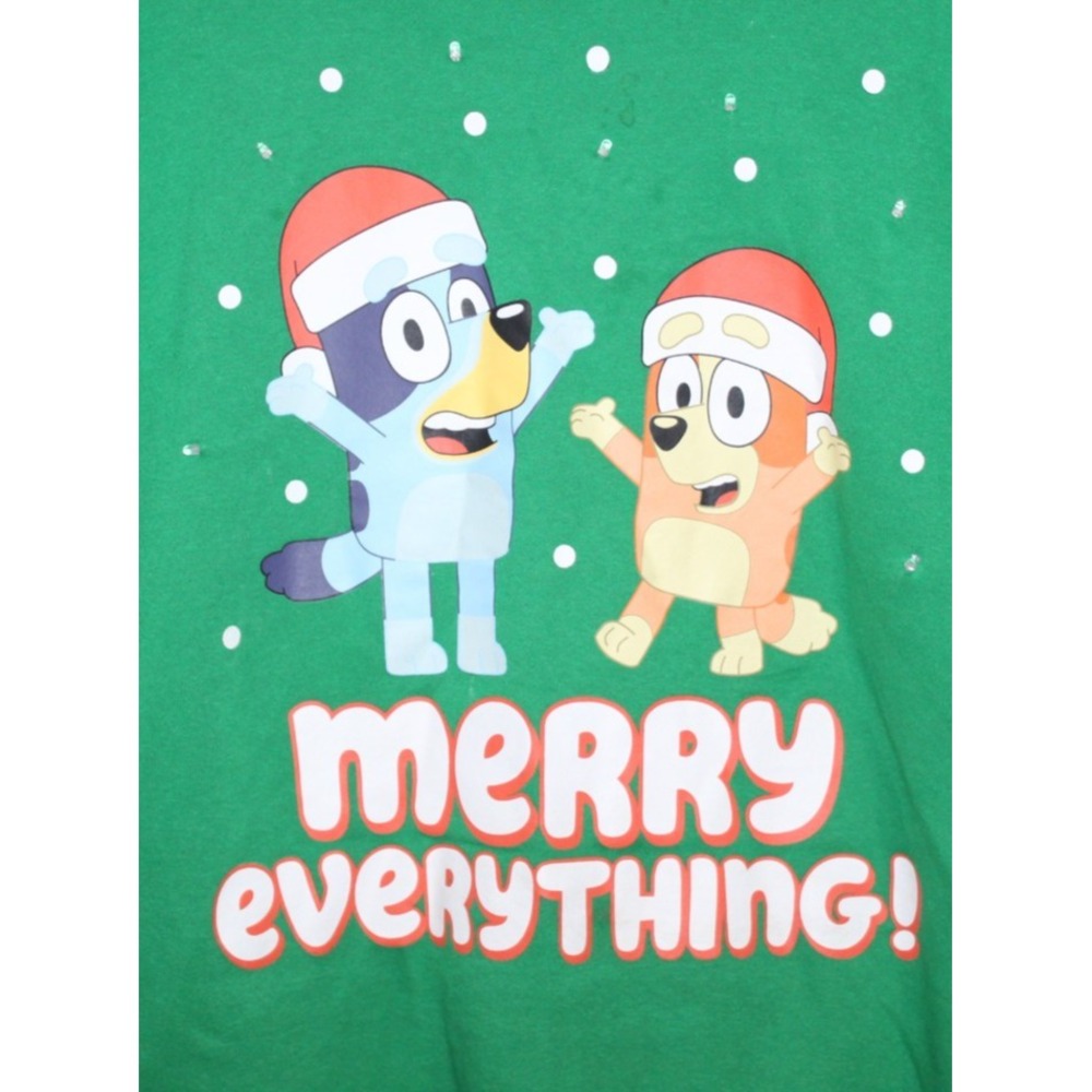 Bluey Merry Everything Christmas Sweatshirt Adult Large Green Holiday Crewneck